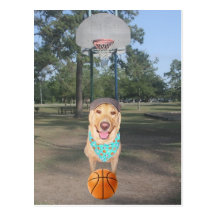 Little Kid's Basketball Post Cards