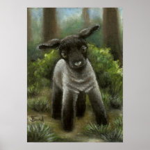 Little lamb in the woods print