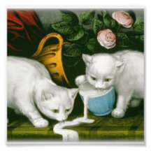 little white kitties getting into mischief milk photo print