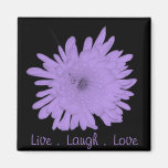 Live Laugh Love Fridge Magnets
