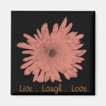 Live Laugh Love Magnet