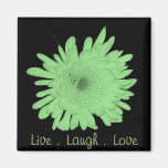 Live Laugh Love Refrigerator Magnet