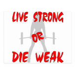 Live Strong Or Die Weak Female Weightlifting Post Cards