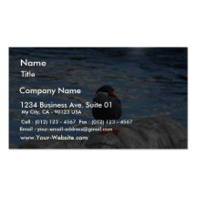 Living Coast Devon Business Card Templates