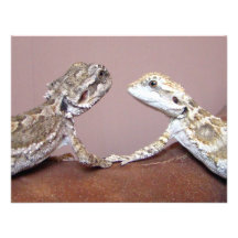 Lizard Love Invite