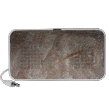 Lizard on Stone. iPod Speakers