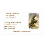 Lizard Species Business Card