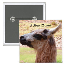 Llama Button