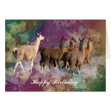 Llama cloud fantasy - White and Brown Llamas Cards