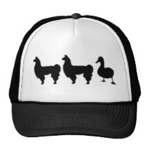 Llama Llama Duck Hats