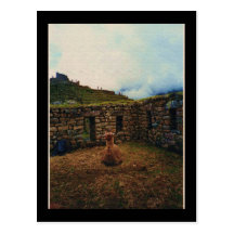 LLAMA POSTALES