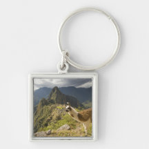 LLamas and an over look of Machu Picchu, Key Chains