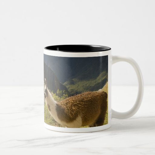 LLamas and an over look of Machu Picchu, Coffee Mugs