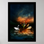 Lonely Swan posters