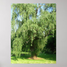 Lonely Tree 2 Poster