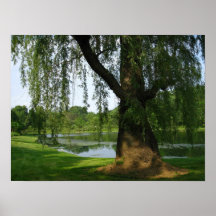Lonely Tree Poster