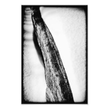 long hard cold lonely photo print
