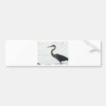 Long Neck Bumper Sticker
