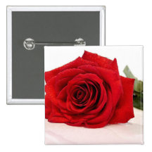 Long Stem Red Rose Square Magnet Pinback Button