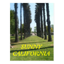 LONGEVITY POSTCARDS SUNNY CALIFORNIA