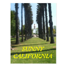 LONGEVITY POSTCARDS SUNNY CALIFORNIA