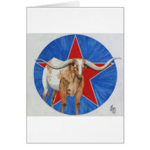 Longhorn Bob Cards