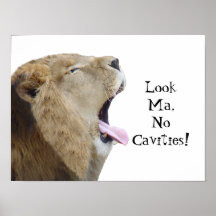Look Ma, No Cavities!  Lion Poster Print