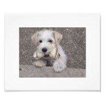 Look What I Found! Photo Print
