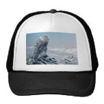 Looking for prey, Snowy Owl Hat