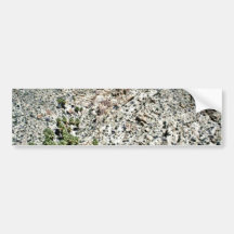 Lost Palms Oasis Bumper Stickers