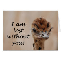 lostwithoutyou cards