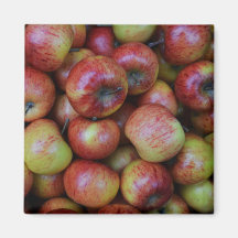 Lots of Apples Magnet
