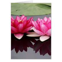 lotus card