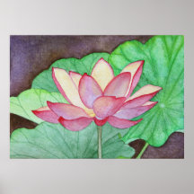 Lotus Flower #1 Poster Print