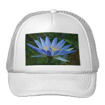 Lotus flower and meaning hats