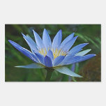 Lotus flower and meaning sticker
