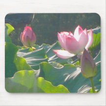 Lotus Flowers in Bloom Mouse Mats