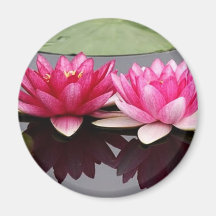lotus magnets