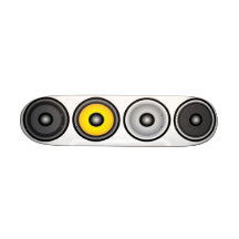 Loudspeaker Skateboards