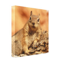 Lounging Chipmunk Canvas Print