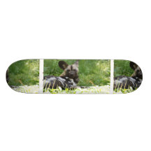 Lounging Wild Dog Skateboard