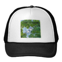 Love birds hats