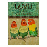 Love Birds Love is All You Need Card