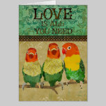 Love Birds Love is All You Need Card cards