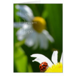 Love, Dream, Hope Greeting Cards