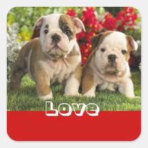Love English Bulldog Puppy Dog Greeting Sticker