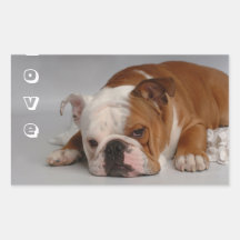 Love English Bulldog Puppy Dog Greeting Sticker