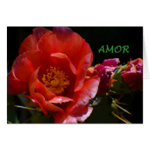 Love Greeting Card