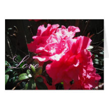 Love Greeting Card