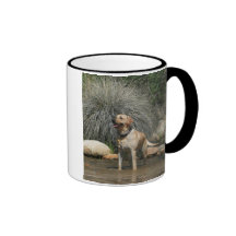 Love is being owned by a Yellow Lab Mugs
